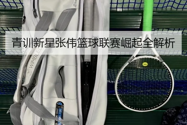 青训新星张伟篮球联赛崛起全解析